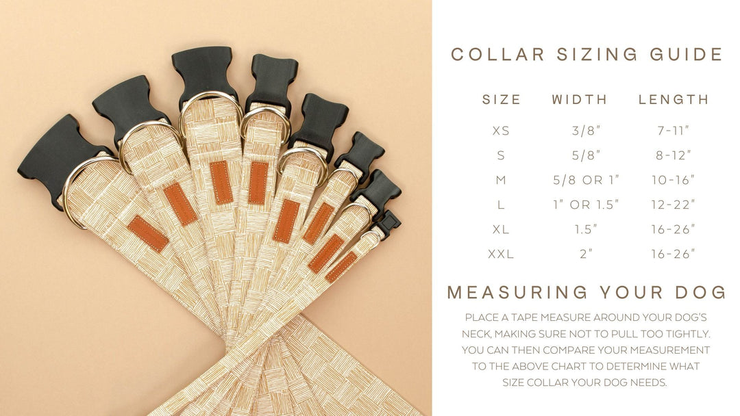 PJP The Duchess Collar