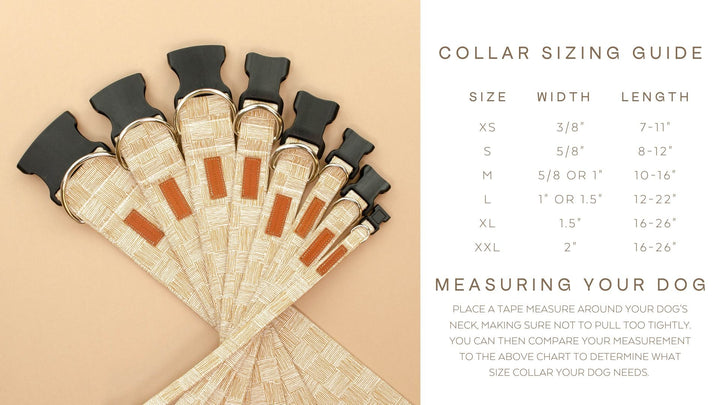 PJP The Duchess Collar