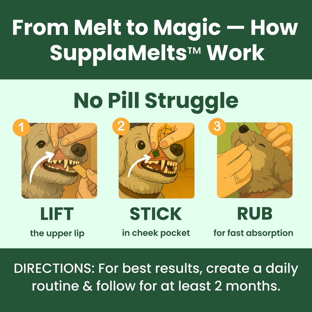 ZenMelts Rapid Calm Strips
