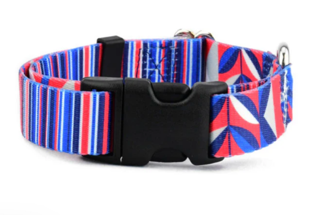 Rocky Dog Collar