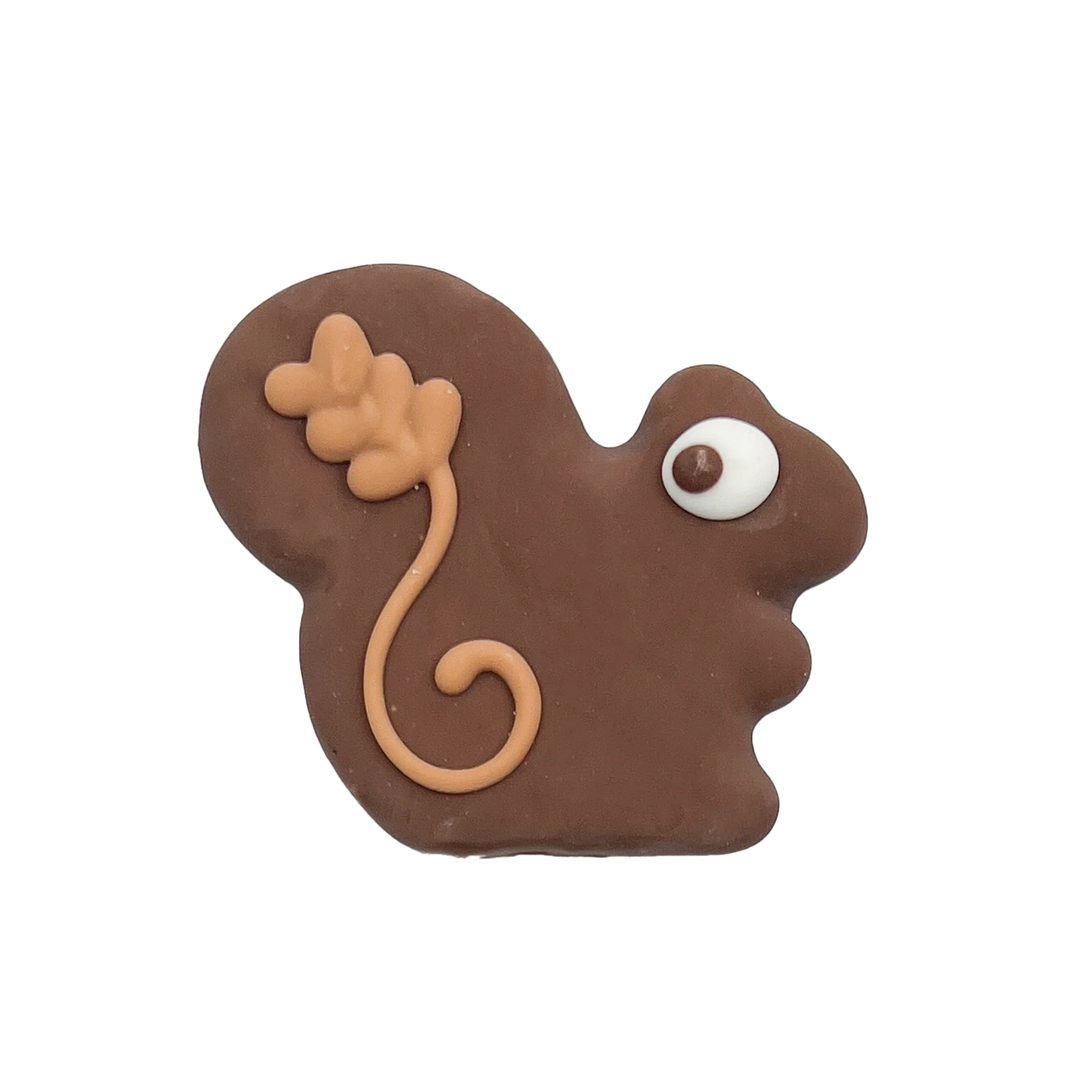 Squrriel Cookie