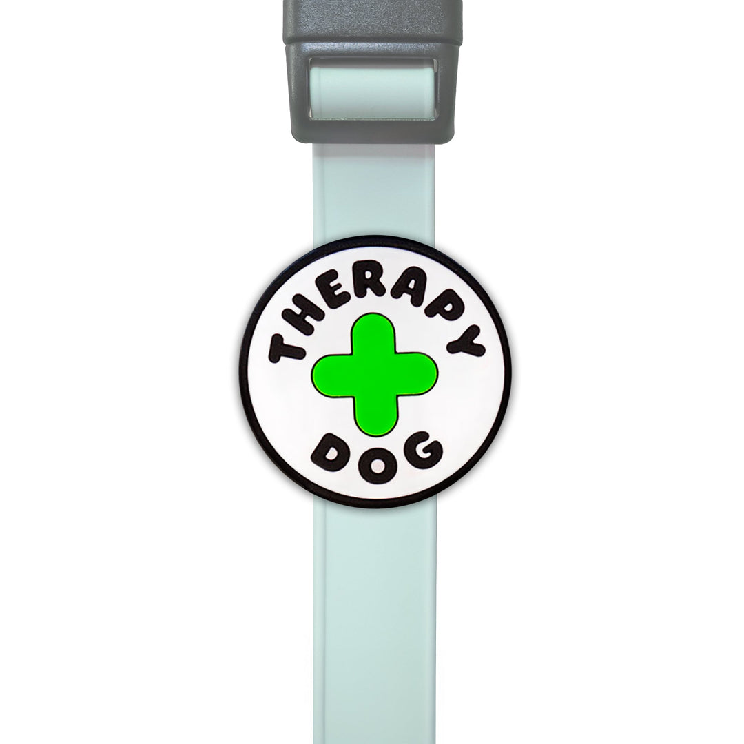 Jiby Dog Charms
