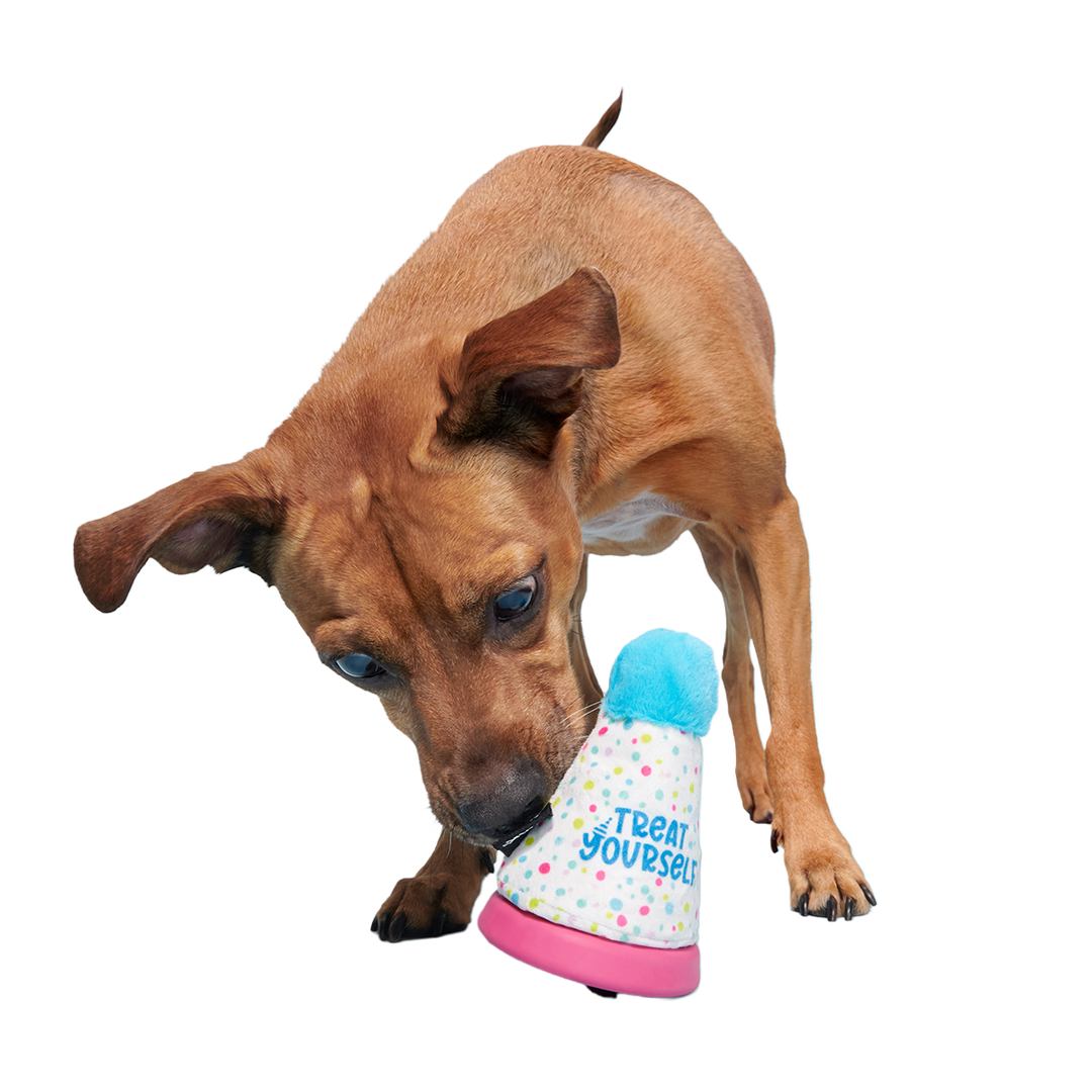 Treat Yourself Party Hat