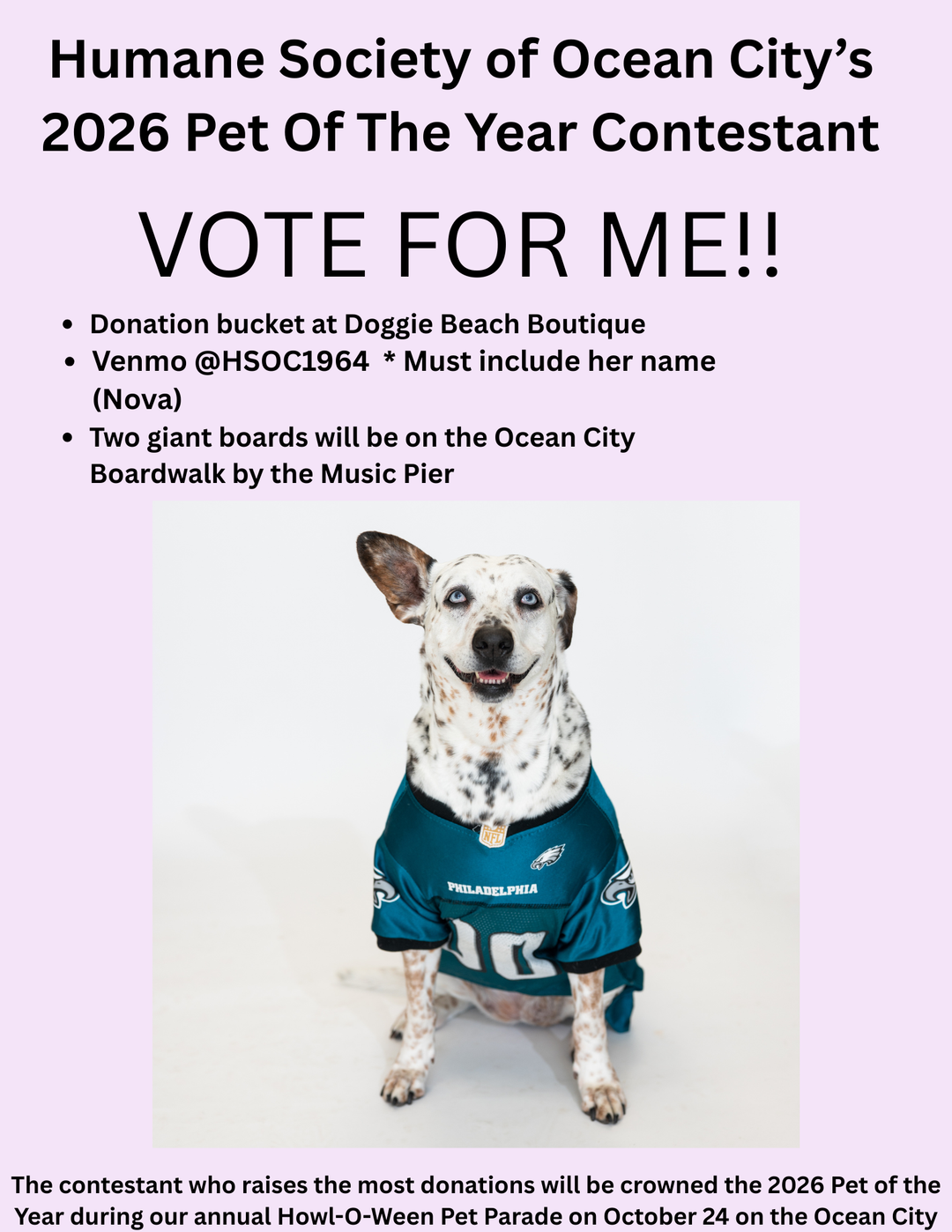 Vote For Nova HSOC 2026 Pet Of The Year Contestant