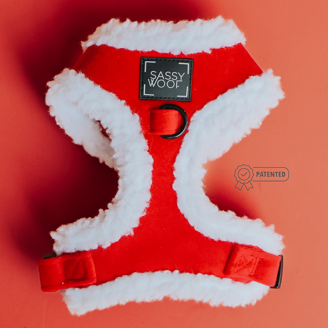 Naughty Adjustable Harness