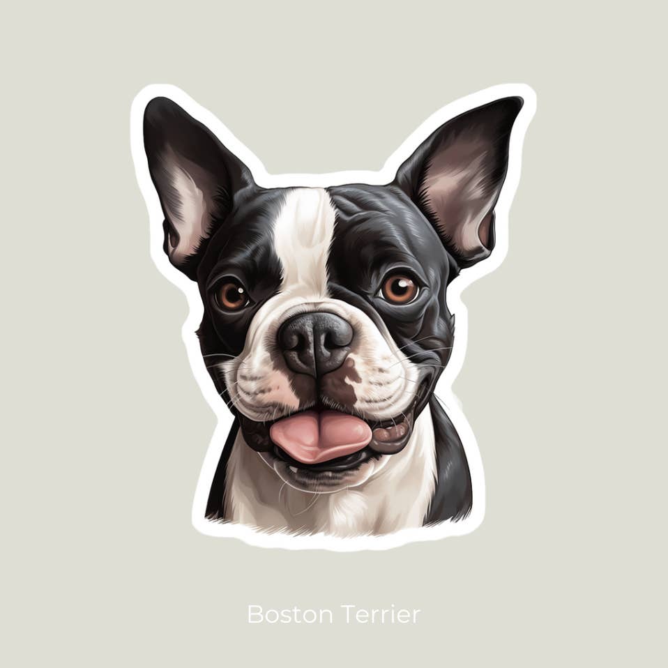 Boston Terrier Sticker