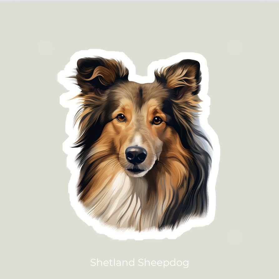 Shetland Sheepdog Sticker