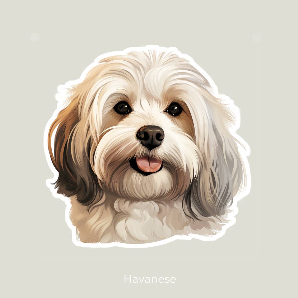Havanese Sticker