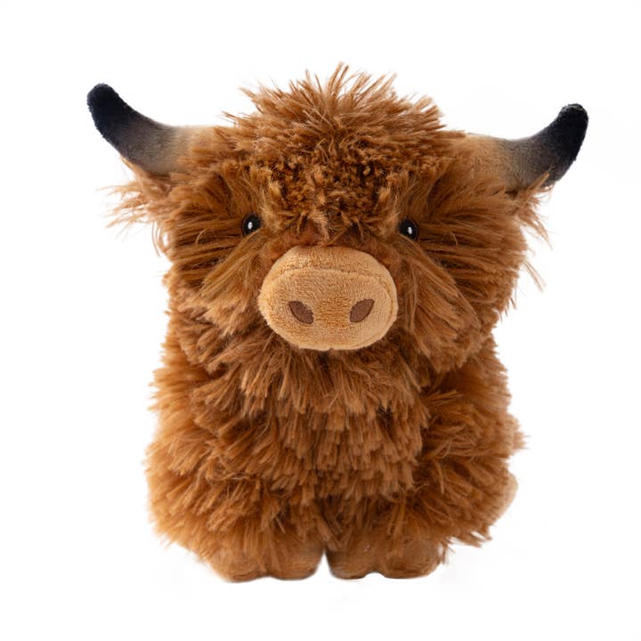 Highland Cow