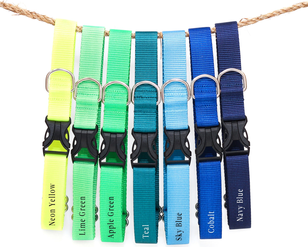 Apple Green Webbing Collar