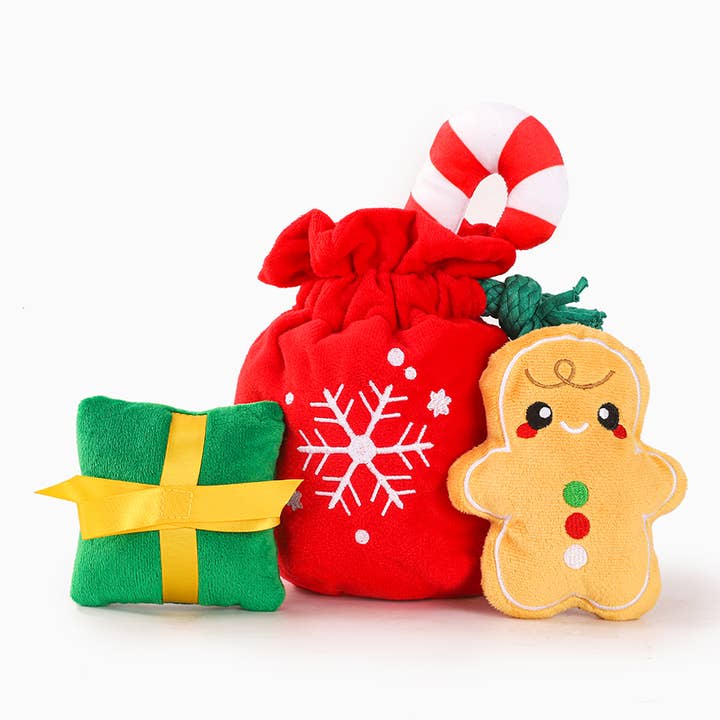 Christmas Gift Bag