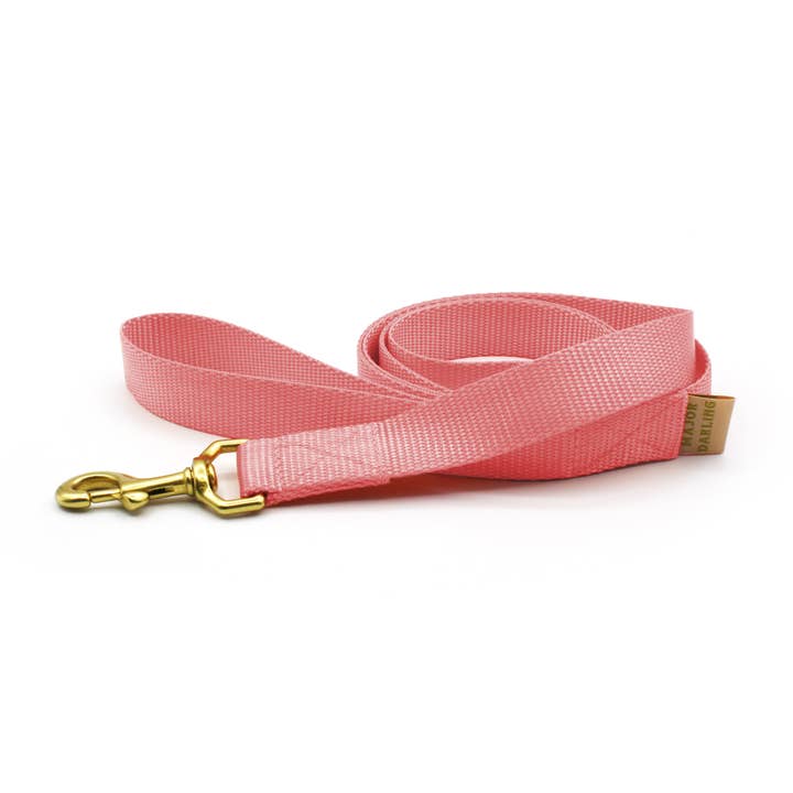 Basic Leash Light Pink