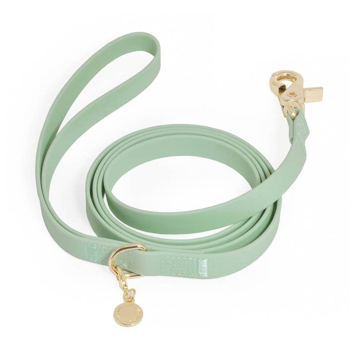 Sunny Tails Waterproof Leash Pistachio Green