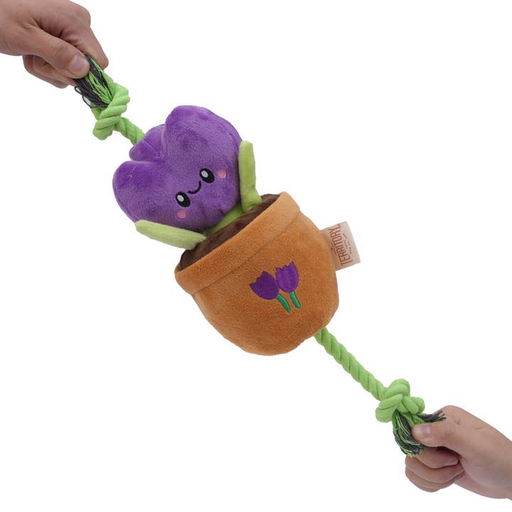 Purple Flower Treat-n-Tug