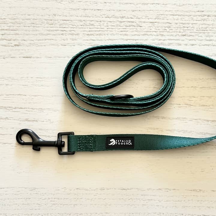 Evergreen Leash