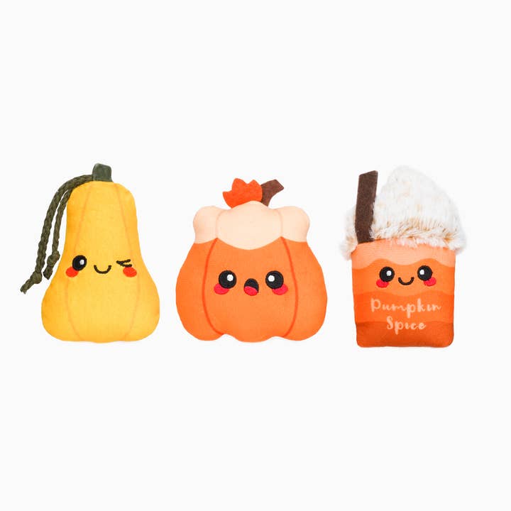 Pumpkin Play 3pk