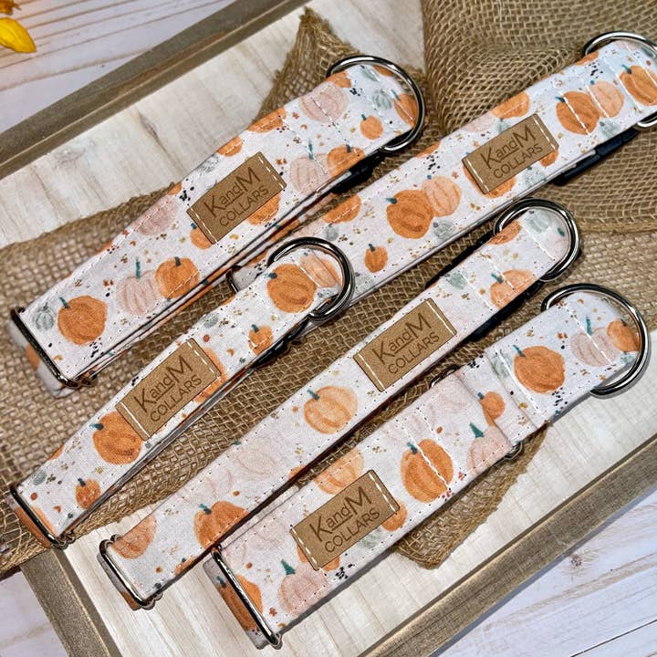 Watercolor Pumpkins Collar