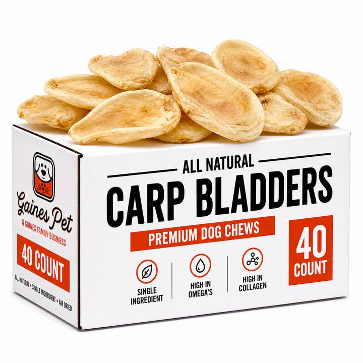 Carp Bladder