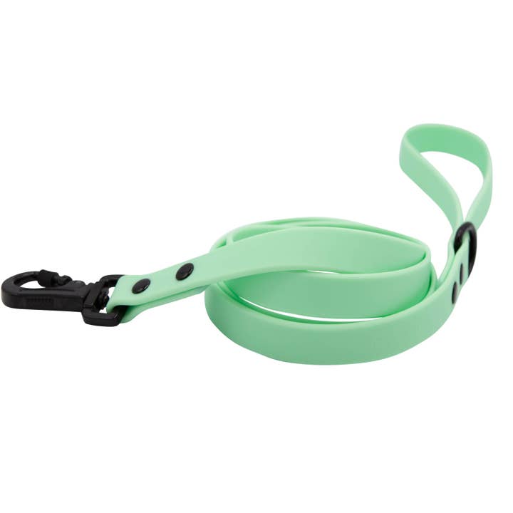 Green Waterproof Leash