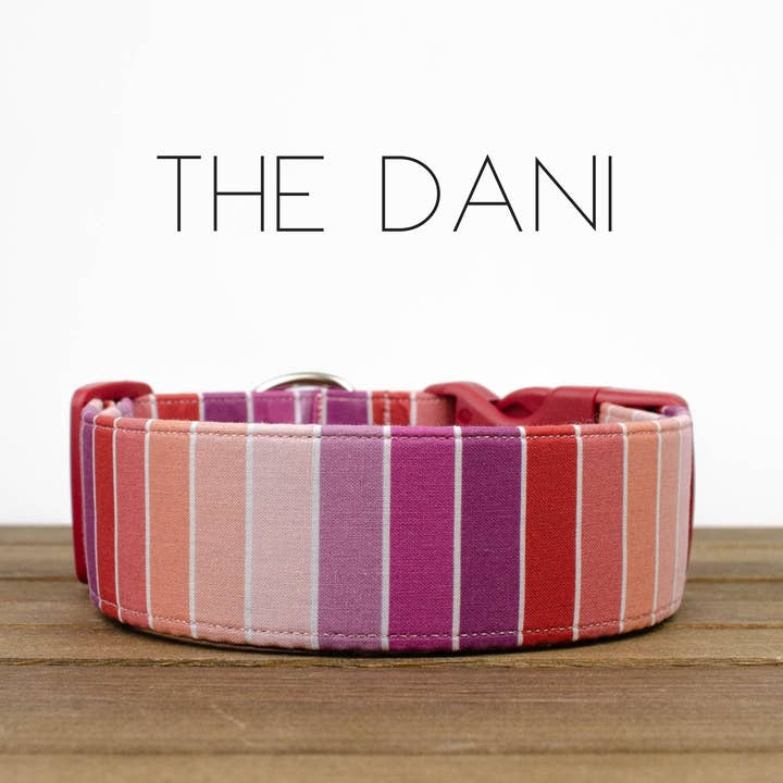 PJP The Dani Collar