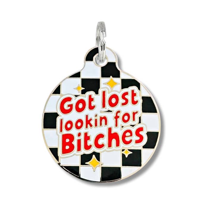 QR Code Dog Tag Got Lost Lookin For Bitc***