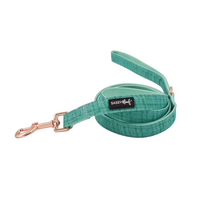 Wag Your Teal Leash