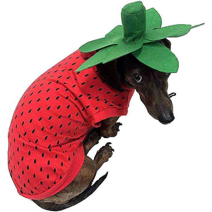 Strawberry Costume