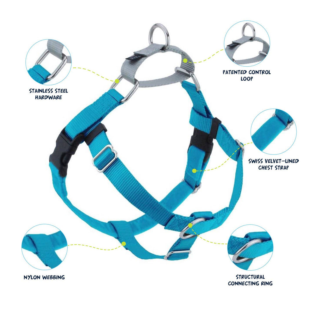 Turquoise Freedom No-Pull Harness