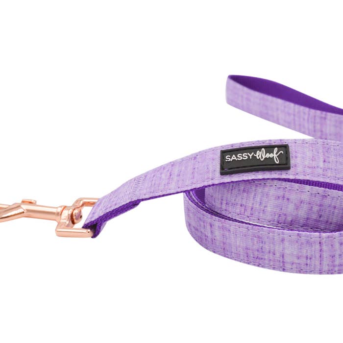 Aurora Leash