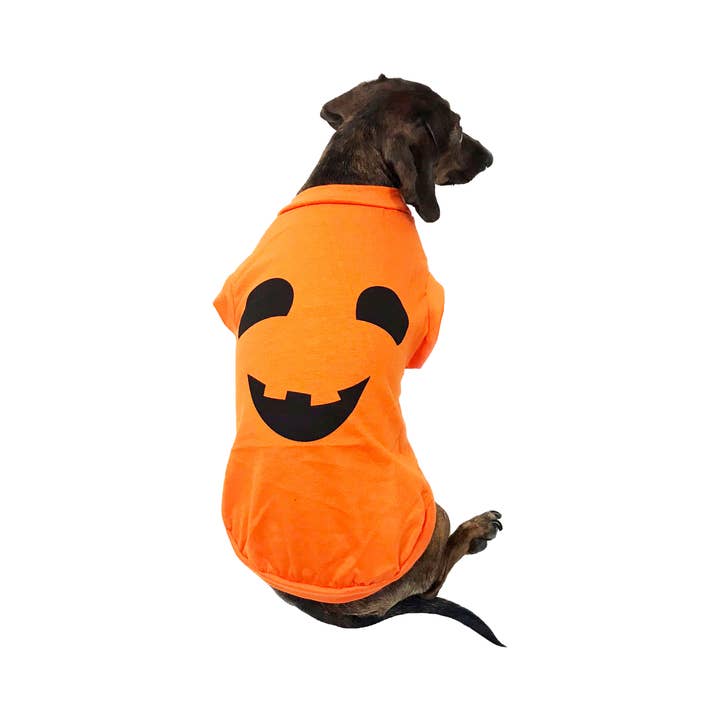Pumpkin Costume Small