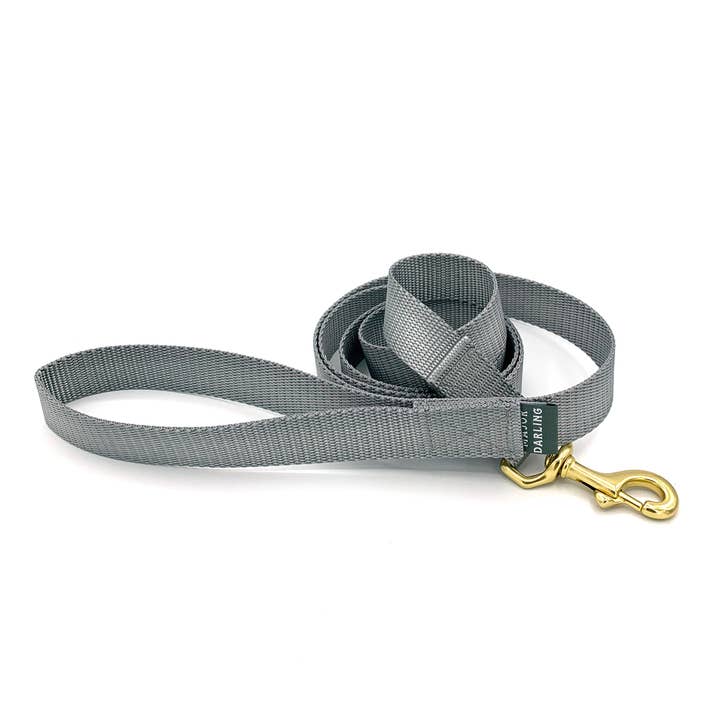 Basic Leash Silver
