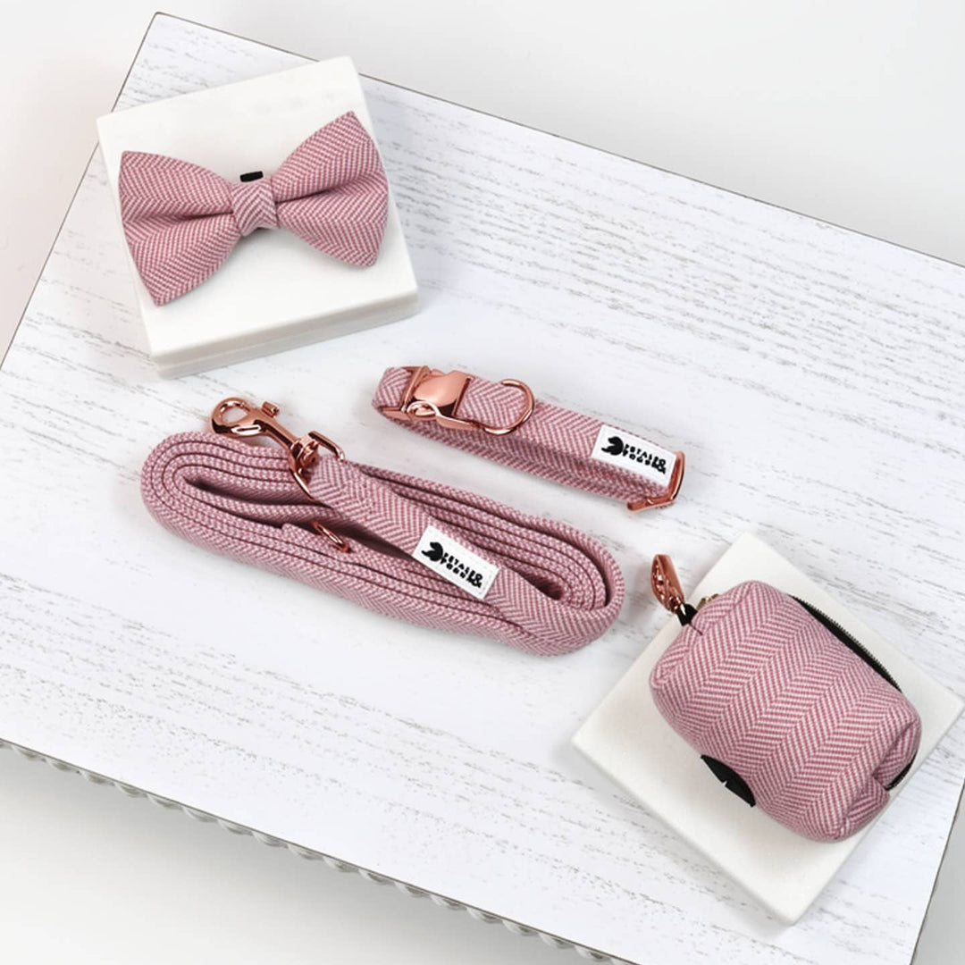 Tweedie in Pink Leash