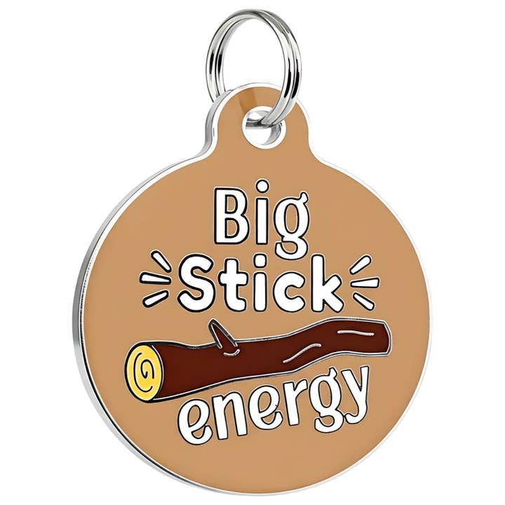 QR Code Dog Tag No Big Stick Energy