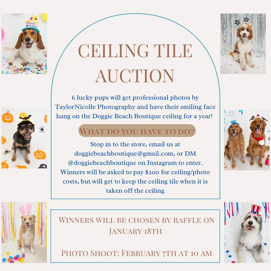Ceiling Tile Auction