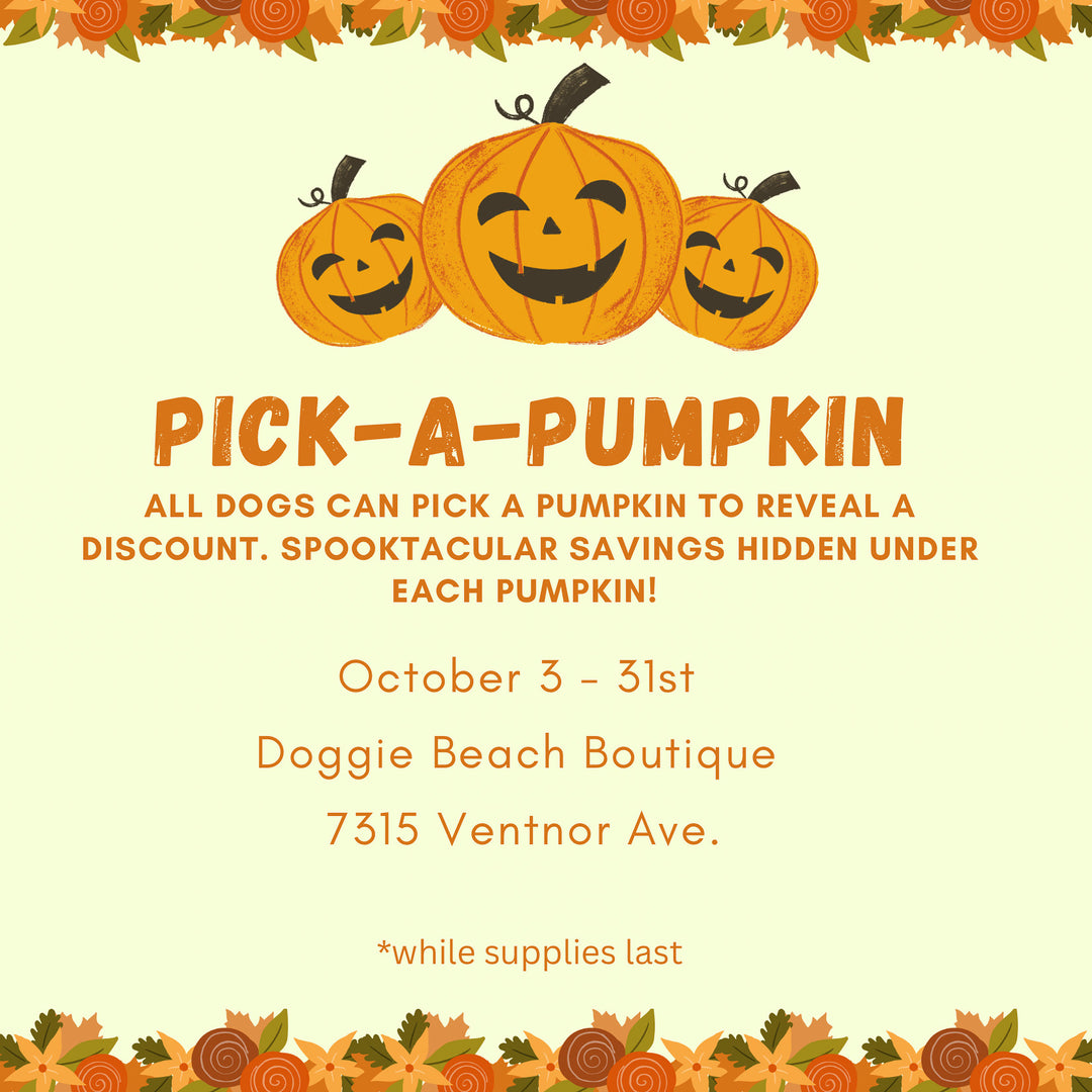 Pick-A-Pumpkin