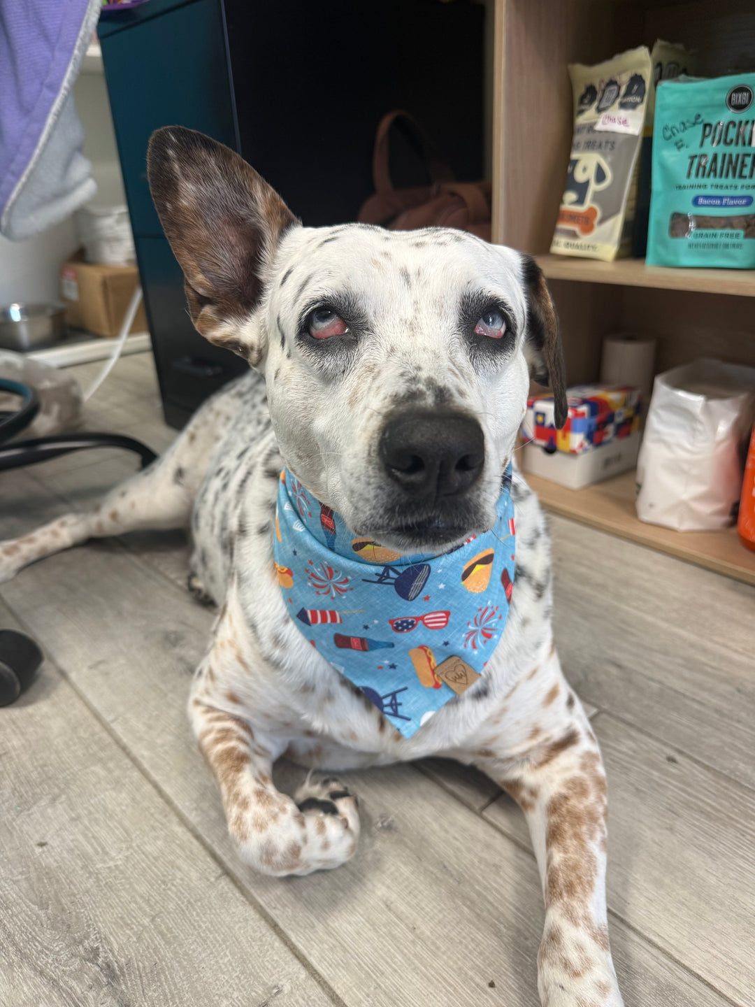 Wanderlust Wags Summer Barbecue Bandana