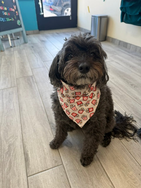 Wanderlust Wags Pup Cup Valentine Bandana