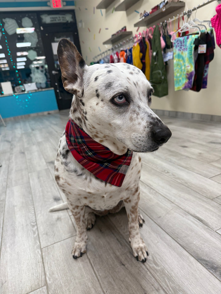 Wanderlust Wags Red Plaid Christmas Bandana