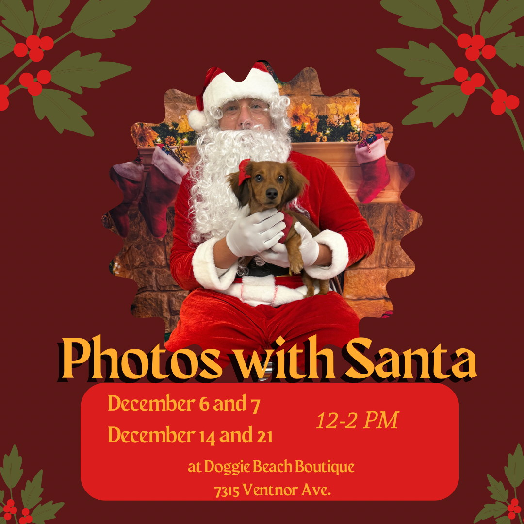 Santa Photos