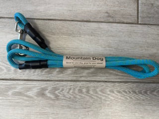 Standard Clip Leash 6" Teal Shep