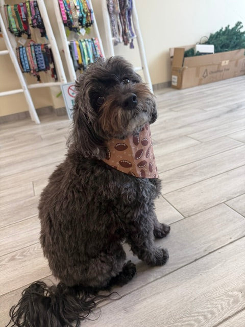 Wanderlust Wags Bandana Boho Football