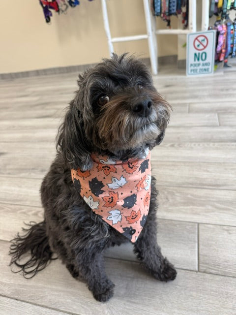 Wanderlust Wags Bandana Halloween Leaves