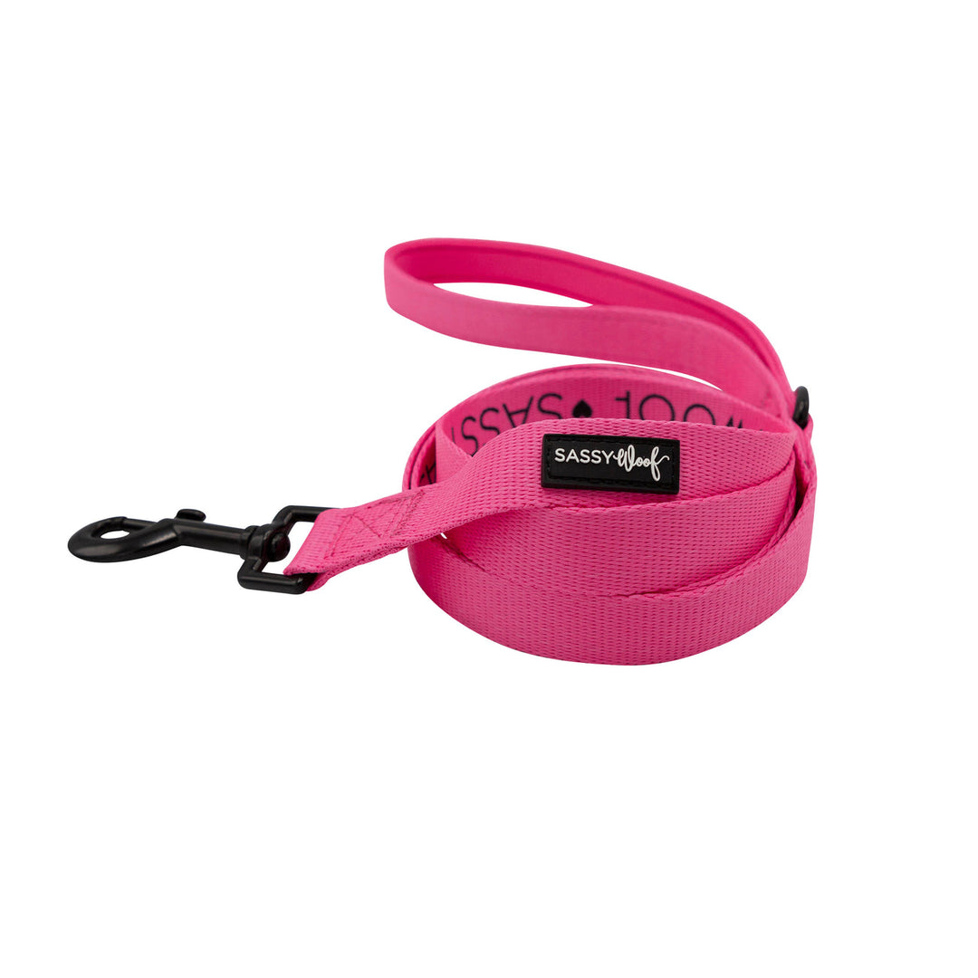 Neon Pink Leash