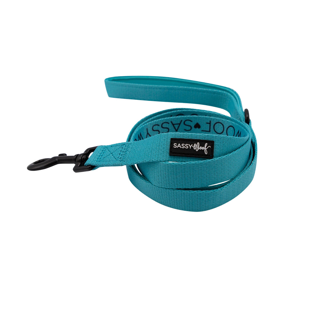 Neon Blue Leash