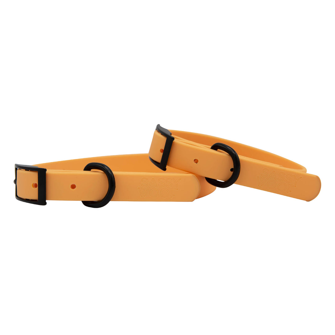 Orange Waterproof Collar