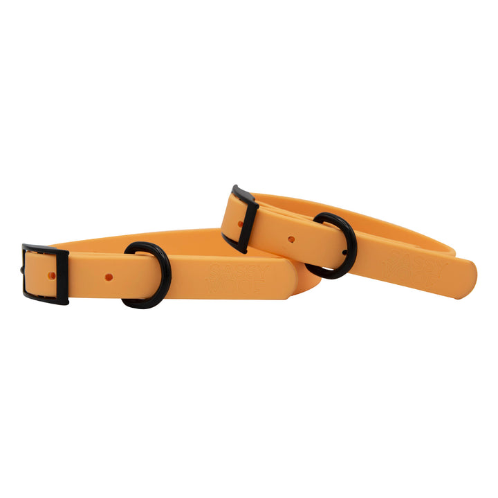Orange Waterproof Collar