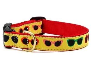 Sunglasses Collar