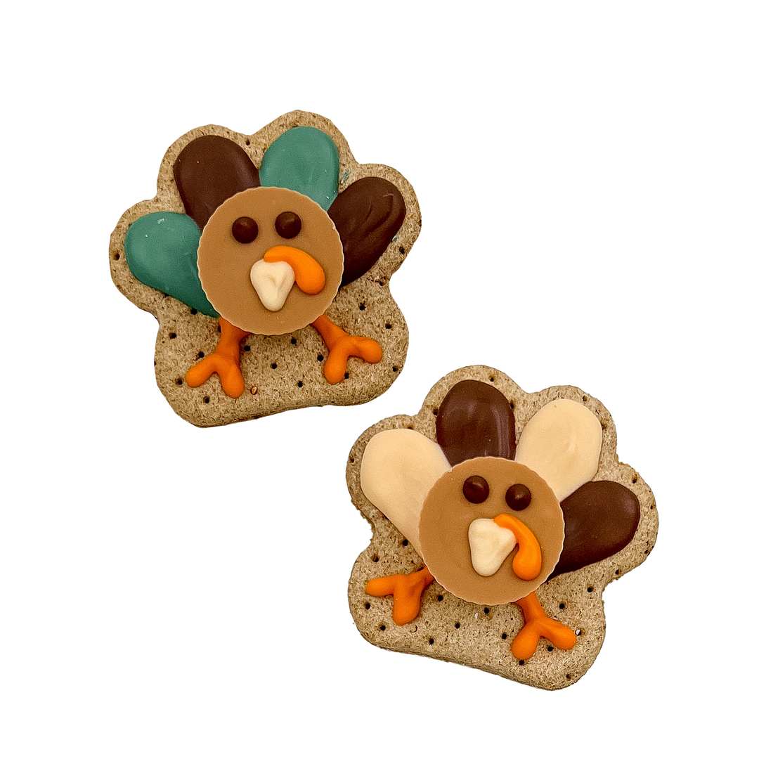 Turkey Cookie