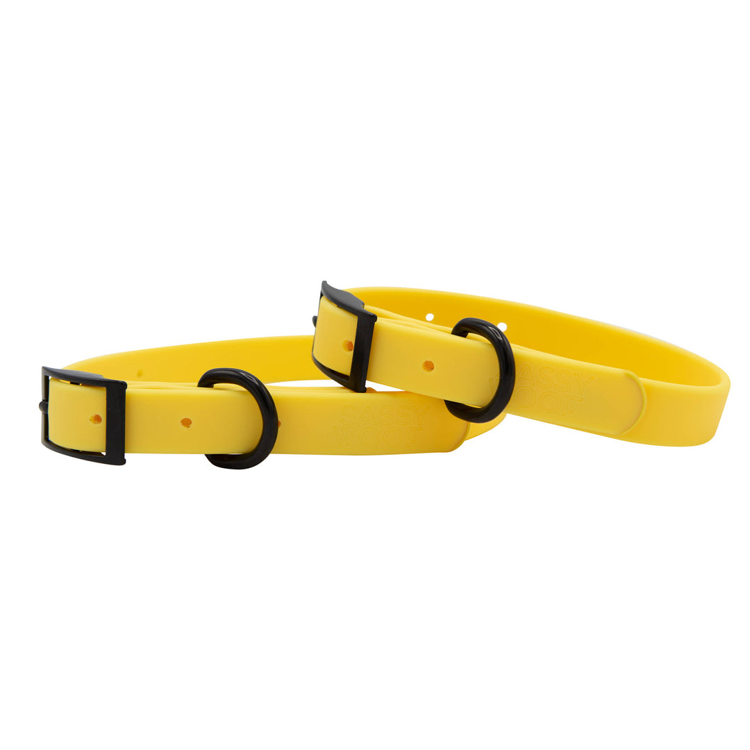 Yellow Waterproof Collar
